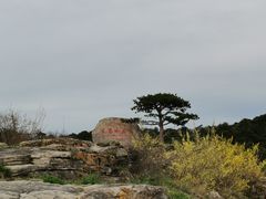 -王莽岭风景区