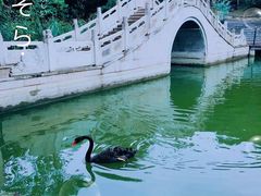 -北宫国家森林公园