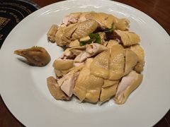 白切扇鸡-金成潮菜博物馆(海珠湿地店)