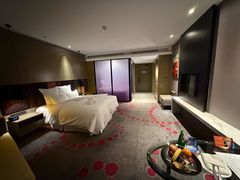 -南京禄口机场雅高铂尔曼大酒店