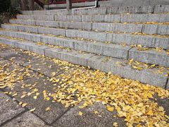 -南通博物苑-崇川人民公园