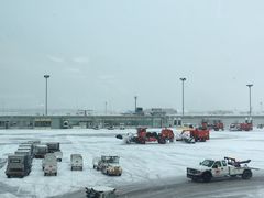 -蒙特利尔皮埃尔·埃利奥特·特鲁多国际机场