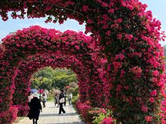 -东莞植物园