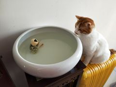 -宠颐生中康贝怡动物医院