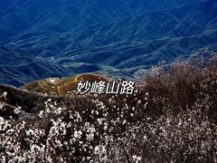 -妙峰山风景名胜区