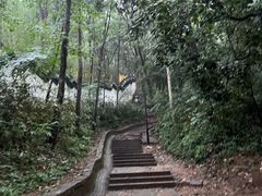 -灵顺寺