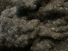 -贵州省地质博物馆