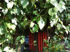 -斯多格书乡(北京大学畅春园店)