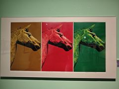 -江苏省美术馆(长江路新馆)
