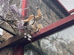 -南昌动物园