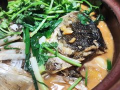 -九道菜有鸡鱼头(石鼓路店)