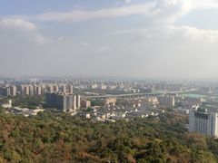 -杭州半山国家森林公园