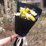 便不算离开，春草绿，清明来，清明节是踏青好时节