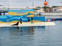 -秦皇岛乐岛海洋王国