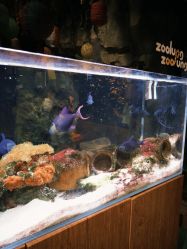 -Zoolung Zoolung动物主题公园(海信广场店)