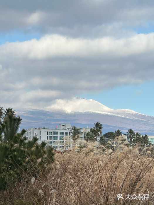 柱状节理带图片