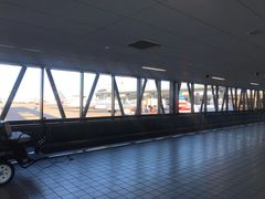 -达拉斯 沃斯堡国际机场