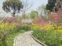 -南汇桃花村