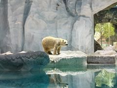-珠海长隆海洋王国