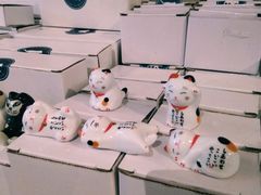 -猫咪博物馆(顶澳仔猫街店)