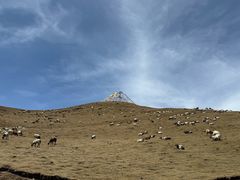 -日月山景区