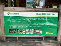 -武陵山森林公园