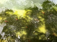 -建水文庙