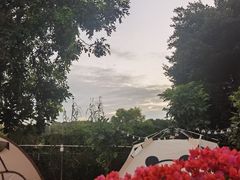 -良成狗狗乐园