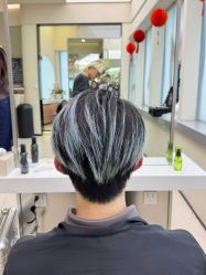 -BEAUTY HAIR GANO
