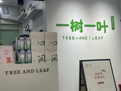 -一树一叶·福建茶档(石鼓路店)