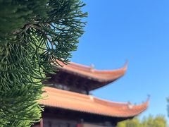 -苏州文庙(姑苏区)