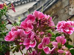 -北京阅微庄四合院文化特色酒店