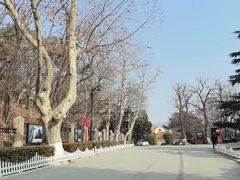 -青岛德国总督楼旧址博物馆