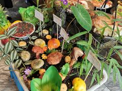 -福照楼汽锅鸡·云南菜(护国路店)