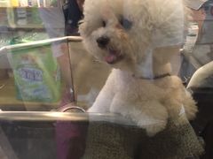 -PETKIT小佩宠物(古北店)