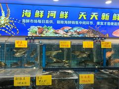 -渔意楼·驰名沙田乳鸽(五羊店)
