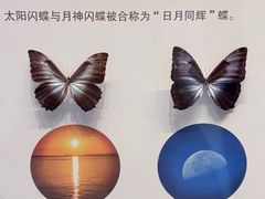 -天津自然博物馆