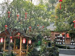 -青城甲(青城山店)