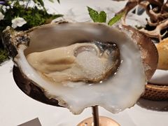 -Oyster Talks 四度蚝法餐厅