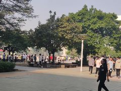 -顺德职业技术大学