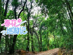 -广州市帽峰山景区