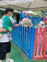 -萌宠亲子动物乐园(槐房万达店)