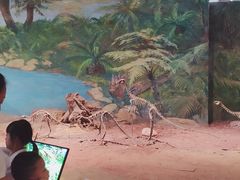 -自贡恐龙博物馆