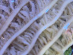 -阿串串老火锅(力盟店)