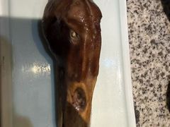 -南京大牌档(凯德1818店)