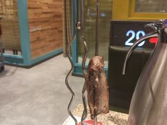 烤羊排-丰茂烤串(卫星广场店)