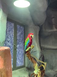 -Zoolung Zoolung动物主题公园(海信广场店)