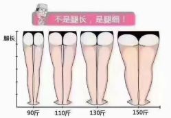 -香薇妮丝·定制减肥·身材管理