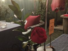 -弦月窗LUNETTE BY AMANDA(复兴路店)