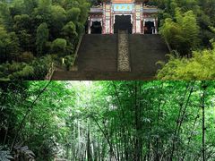 -蔡伦竹海